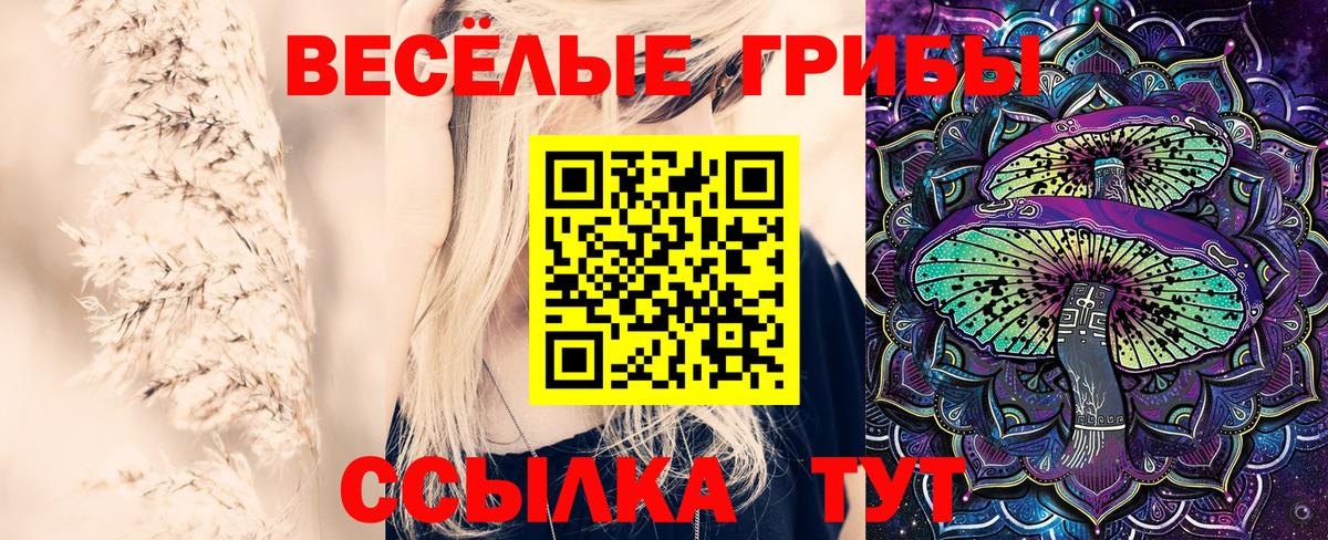 Псилоцибиновые грибы ЛСД Феодосия
