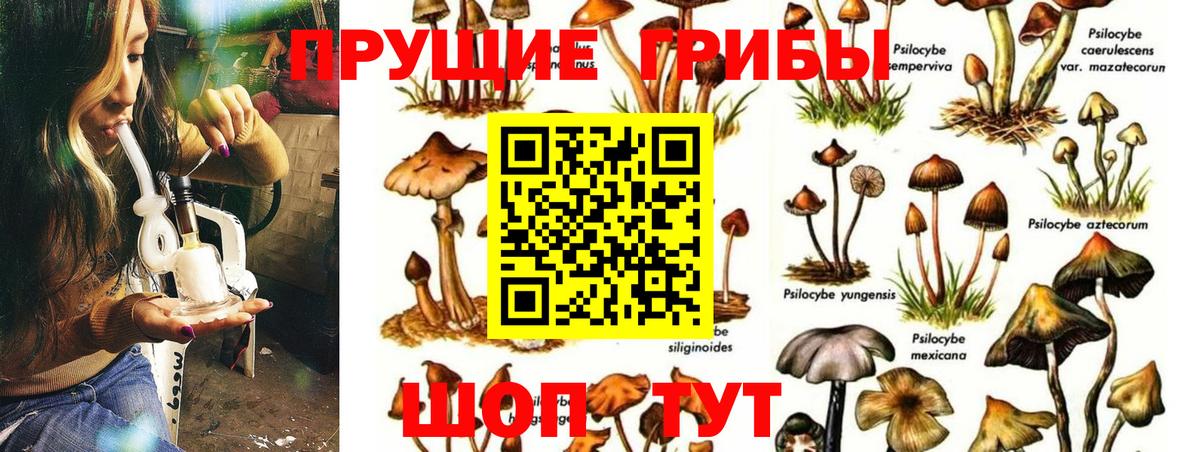 Псилоцибиновые грибы Cubensis  Вход с VPN  Феодосия 